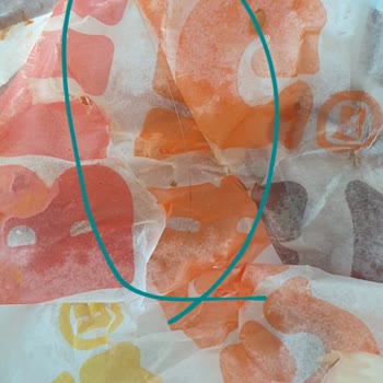 Burger King Siparişimden Kıl Çıktı