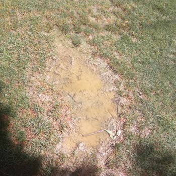 Eskişehir Tepebaşı Belediyesi Park Su İçinde