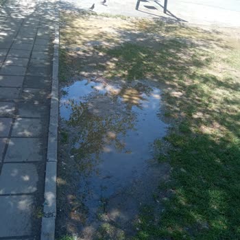 Eskişehir Tepebaşı Belediyesi Park Su İçinde