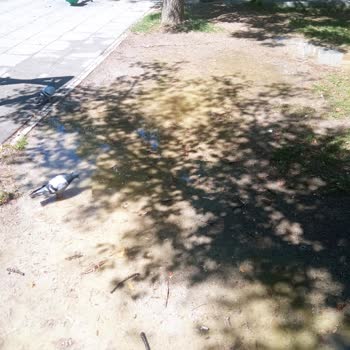 Eskişehir Tepebaşı Belediyesi Park Su İçinde