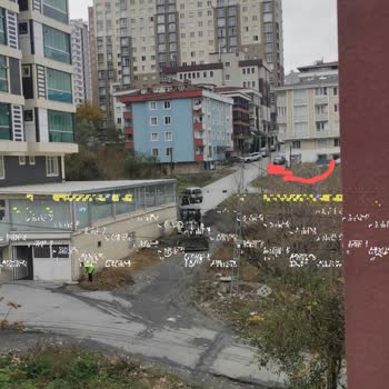 Esenyurt Belediyesi Başıboş Gezen Köpekleri Toplatın Artık Lütfen