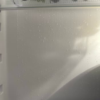 Franke Fridge Gets Frosty Inside, Water Drips All Around