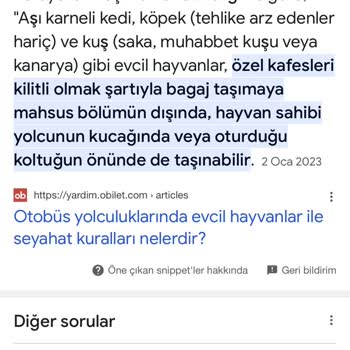 Lüks Ereğli Evcil Hayvan Taşıma