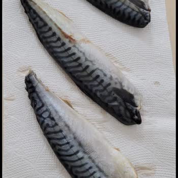 BİM'den Aldığım Erba Marka Uskumru Çok Kalitesiz Bir Ürün