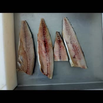 BİM'den Aldığım Erba Marka Uskumru Çok Kalitesiz Bir Ürün