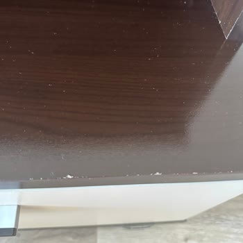 Sağlamlar Nakliyat Şoku