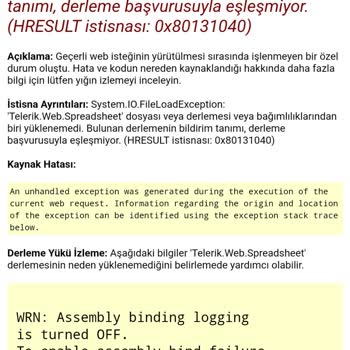 E-yaygın MEB Site Açılmıyor