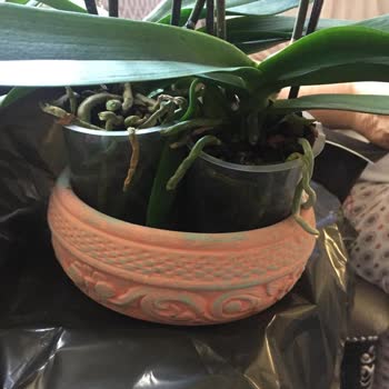 Çiçek Sepeti Farklı Ürün Gönderimi