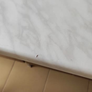 Koçtaş Hatalı Ürün Montajında Ekstra Ücret Aldatmacası