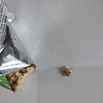 Tadım Bar Hijyen Sorunu