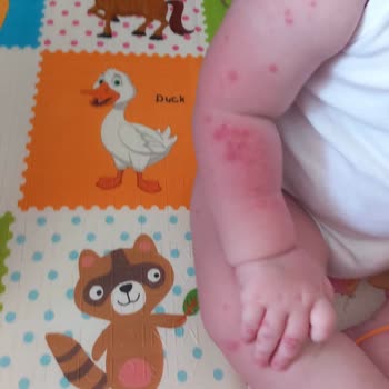 Orange County Alanya Family Concept Orange County Alanya - Family Concept Otelindeki Kötü Deneyim