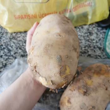Şok Marketler 1 Kg Patatesi İki Tane Yollamışlar