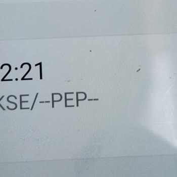 Elekse Ödeme Kuruluşu Harcama İtirazında Bulunmak İstiyorum