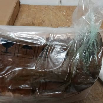 Bath&Body Works Bath And Body Works Online Alışveriş