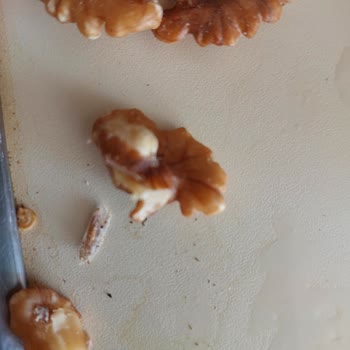 Yerinden Doğal Al Kusurlu Gıda Gönderilmesi