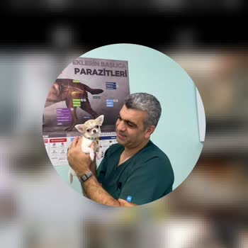 Hayvan. Sahiplendirme. Kurumu (Instagram) Bize Para İadesi Yapmadı