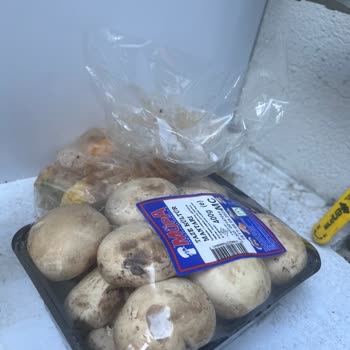 Tazedirekt Küf İçinde Ürünler