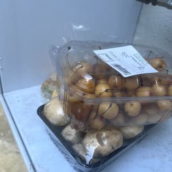 Tazedirekt Küf İçinde Ürünler