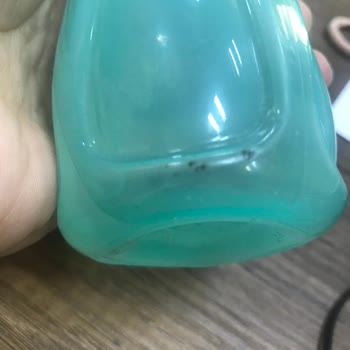 Tupperware Su Şişesi Küflendi!