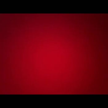 TikTok Sahte Hesap Sorunu Yaşıyorum!