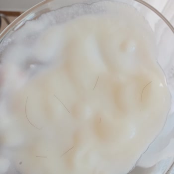 Dr. Oetker Sakızlı Muhallebi İçi Kıl Dolu