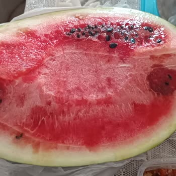 Buzdolabı (Arçelik) Bozuk Ürün Soğutmuyor