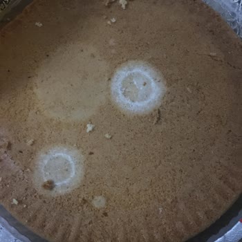 A101 Den Aldığım Kek Küflü Çıktı