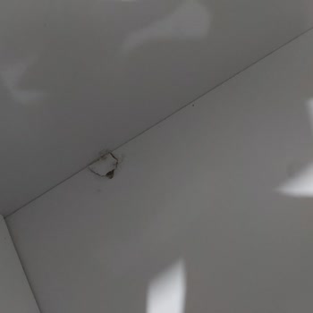 Real 58 Evden Eve Nakliyat Özensizlik ve Verilen Hasar