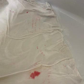 Domestos Kumaşın Rengini Değiştirdi