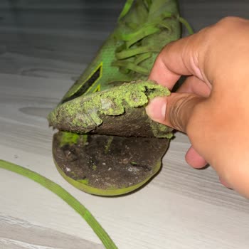 Adidas Garantisinin Kullanıcı Hatası Var Demesi