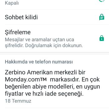 Morgan Deniz Zerbino Amerikan Merkezli Site