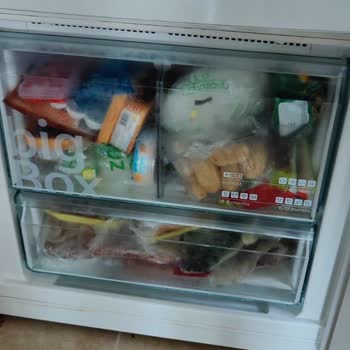 Yazlıkta Siemens Buzdolabı Arızası İşkencesi, Çözümsüz 9 Gün