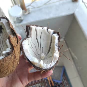 Migros Sanal Market Çürük Meyve