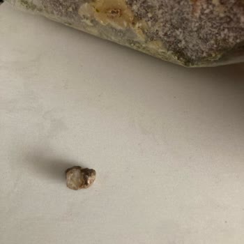 Halktan Kuruyemiş Lokumun İçinden Taş Çıktı