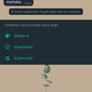 WhatsApp Kişisel Verilerin Çalınması