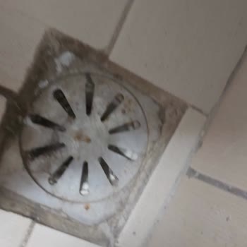 Grand Şahin's Gümüldür Resort Otelin Hijyen Sorunları Ve Tesis Problemleri