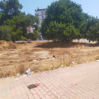 Antalya Muratpaşa Belediyesi Moloz Ve Atıklar