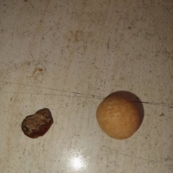 Şimşek Kuruyemiş Kaplama Leblebi Diye Taşı Kaplamışlar!