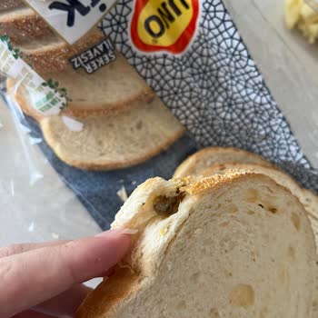 UNO Ekmekten Fare Dışkısı Çıktı!