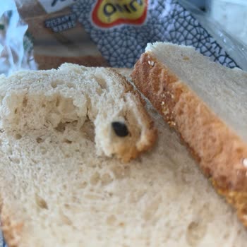 UNO Ekmekten Fare Dışkısı Çıktı!