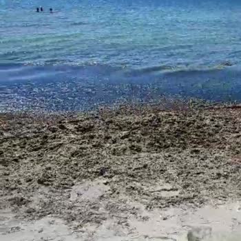 Marmaraereğlisi Belediyesi Denize İniş Yolu Ve Plaj Temizliği Temizliği