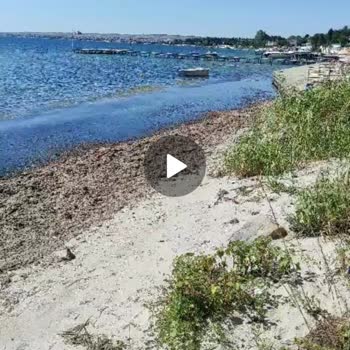 Marmaraereğlisi Belediyesi Denize İniş Yolu Ve Plaj Temizliği Temizliği