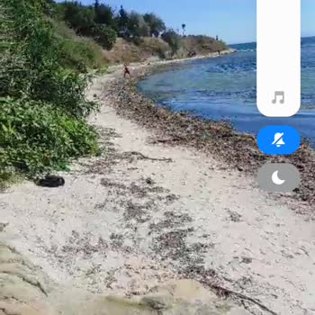 Marmaraereğlisi Belediyesi Denize İniş Yolu Ve Plaj Temizliği Temizliği