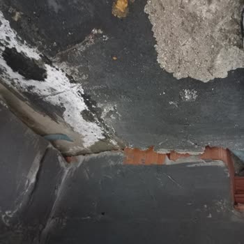 Yalova TOKİ Tuvalet Çökme Riski