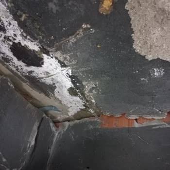 Yalova TOKİ Tuvalet Çökme Riski