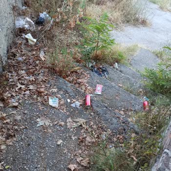 Osmangazi Belediyesi Sokak Temizliği Yapılmıyor
