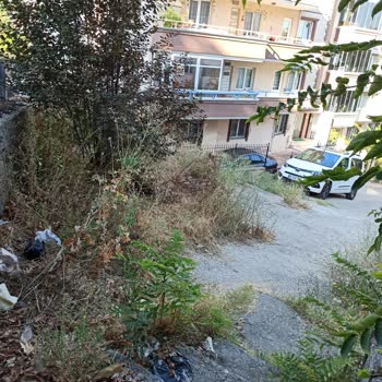 Osmangazi Belediyesi Sokak Temizliği Yapılmıyor