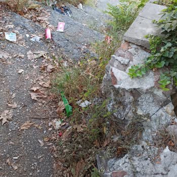 Osmangazi Belediyesi Sokak Temizliği Yapılmıyor