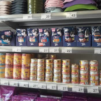 Carrefour SA Kedi Mamaları Fiyatı!