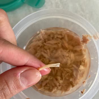 BİM Derya Ton Balığından Kılçık Çıktı